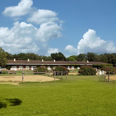 Residential Horse Club Costa Brava Santa Cristina d'Aro Phòng bức ảnh
