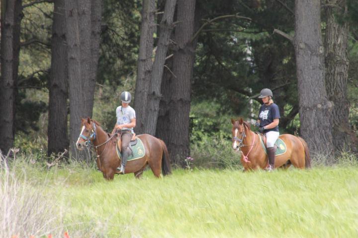 Residential Horse Club Costa Brava Santa Cristina d'Aro Ngoại thất bức ảnh