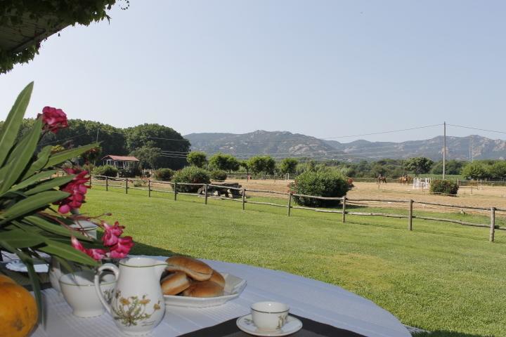 Residential Horse Club Costa Brava Santa Cristina d'Aro Phòng bức ảnh